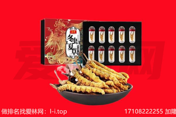 怀化市会同回收虫草.jpg